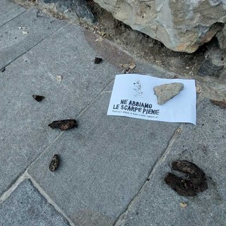 “Ne abbiamo le scarpe piene": lungo la passeggiata degli Innamorati una rivoluzione pacifica contro i proprietari incivili di cani