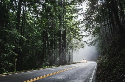 Cosa fare in caso di incidente durante un viaggio