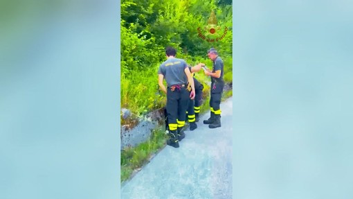 Cucciolo di cane abbandonato, Vigili del Fuoco lo recuperano a 2 metri di profondità