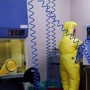 Shamonda virus, primo caso umano: cosa sappiamo, tutti i rischi Shamonda virus, primo caso umano: cosa sappiamo, tutti i rischi