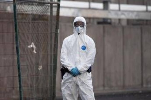 Hantavirus, l'esperta: "Più letale ma diverso da Covid, non si rischia nuova pandemia" Hantavirus, l'esperta: "Più letale ma diverso da Covid, non si rischia nuova pandemia"