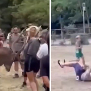 Prova a toccare un cervo e viene 'caricato': il video virale