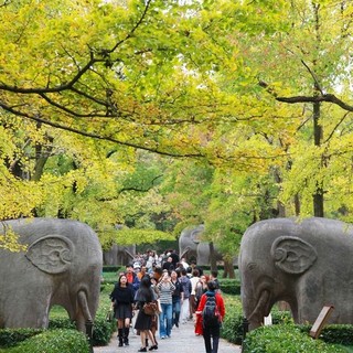 Cina, cresce il mercato interno del turismo