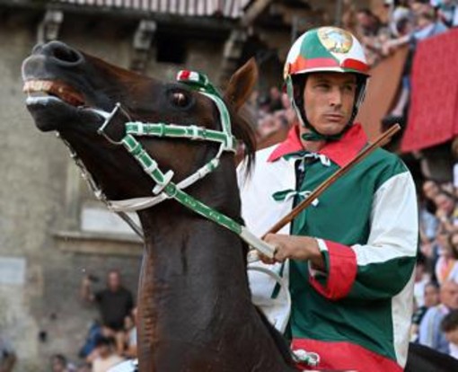 Aquila vince il Palio di Siena, Tittia fa 12: chi è il fantino dei record Aquila vince il Palio di Siena, Tittia fa 12: chi è il fantino dei record