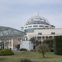Scambio di embrioni al San Raffaele, riprende attività del centro di Medicina della Riproduzione Scambio di embrioni al San Raffaele, riprende attività del centro di Medicina della Riproduzione