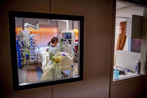 Verona, gravissimo il 18enne colpito da una bottigliata: "Tenuto in vita da terapie di supporto"