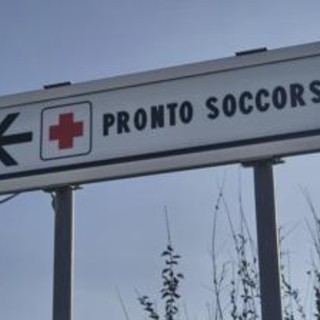 Due bambine azzannate da un cane randagio a Bari: una è in rianimazione Due bambine azzannate da un cane randagio a Bari: una è in rianimazione