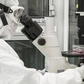 La scoperta per ricaricare le cellule e combattere l'invecchiamento La scoperta per ricaricare le cellule e combattere l'invecchiamento