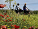 Medicina personalizzata, in bici sulla via Francigena per prevenzione e ricerca contro il cancro