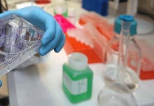 Tumori, in Europa mortalità maschile in calo del 7,8%: in Italia 15 mesi per le nuove terapie Tumori, in Europa mortalità maschile in calo del 7,8%: in Italia 15 mesi per le nuove terapie