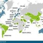 Ottimisti sulla propria vita, pessimisti sul mondo: cosa racconta il grande sondaggio FII Ottimisti sulla propria vita, pessimisti sul mondo: cosa racconta il grande sondaggio FII
