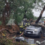 Maltempo a Roma, albero caduto sull'auto: chi paga i danni? La risposta degli esperti Maltempo a Roma, albero caduto sull'auto: chi paga i danni? La risposta degli esperti
