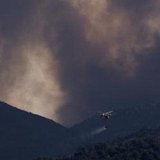 Incendi in Francia e Spagna, corsa contro il tempo per domare fiamme prima di nuova ondata di caldo Incendi in Francia e Spagna, corsa contro il tempo per domare fiamme prima di nuova ondata di caldo
