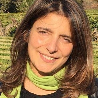 Mezzogiorno, Gruppo di ricerca Grins: su incentivi Zes contesto locale fa la differenza