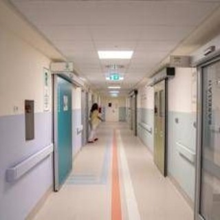 Candida auris, studio svela possibile tallone d'achille del fungo killer che spaventa ospedali