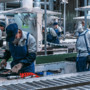 Movimprese, nel secondo trimestre 33mila attività in più Movimprese, nel secondo trimestre 33mila attività in più