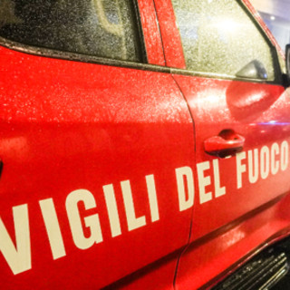 Leccio monumentale incendiato a Bagno a Ripoli, identificati 4 minori: volevano cuocere wurstel
