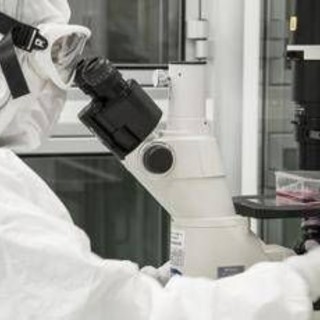 La scoperta per ricaricare le cellule e combattere l'invecchiamento