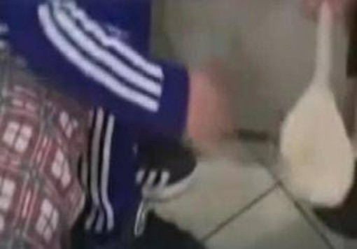 Catania, bimbo picchiato con un cucchiaio di legno: scatta il divieto di avvicinamento per i genitori Catania, bimbo picchiato con un cucchiaio di legno: scatta il divieto di avvicinamento per i genitori