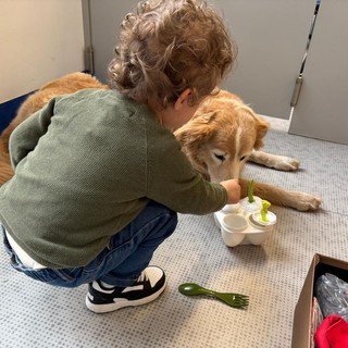 Purina e Frida’s Friends, pet therapy in Neurologia Pediatrica al Fatebenefratelli