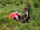 Ambiente, il Progetto Boschi di E.ON supera i 150.000 alberi piantati