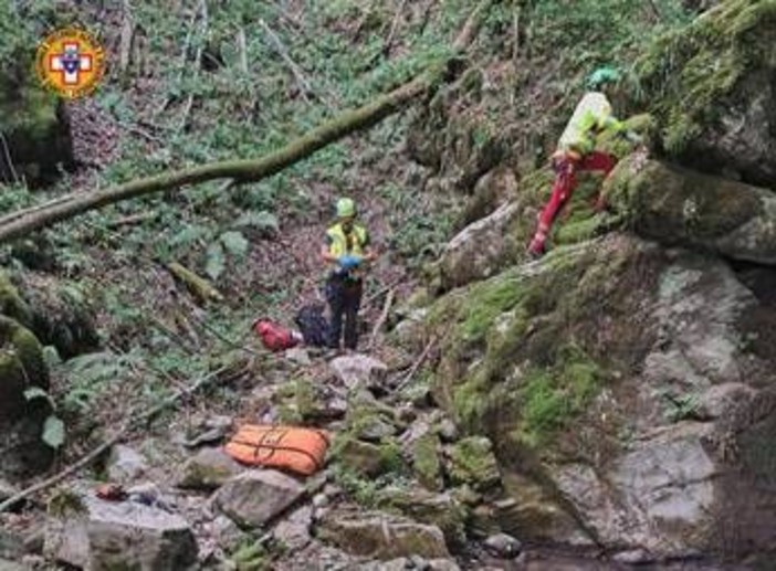 Tenta di salvare 13enne precipitato in una scarpata nel Bosco del Corniglio: morto capo scout Tenta di salvare 13enne precipitato in una scarpata nel Bosco del Corniglio: morto capo scout