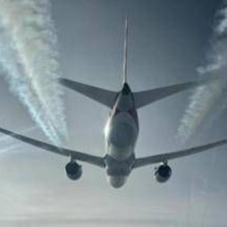Cimici dei letti a bordo di un aereo proveniente dall'Australia, volo Qantas fermato a Fiumicino: cos'è successo