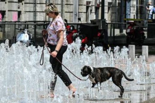 Italia rovente, picchi fino ai 40°: da lunedì nuova fiammata sahariana Italia rovente, picchi fino ai 40°: da lunedì nuova fiammata sahariana