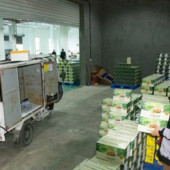 Cina, crescita costante per il settore postale nei primi due mesi dell’anno Cina, crescita costante per il settore postale nei primi due mesi dell’anno