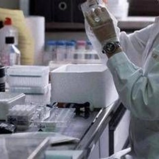Neoplasie urologiche, Irccs Regina Elena Roma protagonista di 2 studi all'Esmo