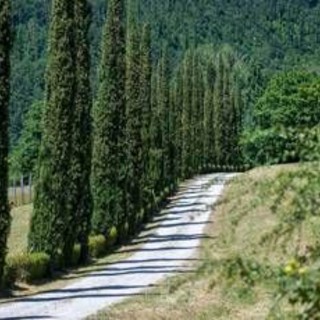 Sostenibilità, tenuta Acqua Panna habitat ideale di 121 specie di vertebrati e piante Sostenibilità, tenuta Acqua Panna habitat ideale di 121 specie di vertebrati e piante