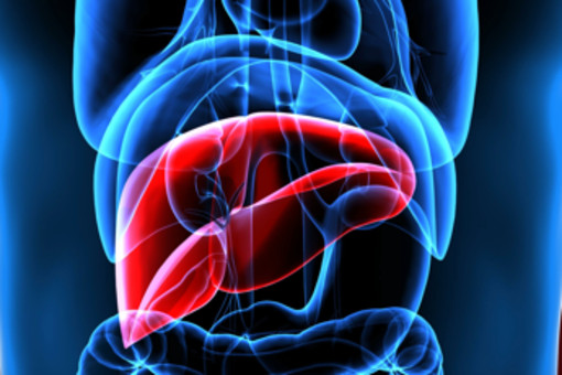 Mash, esperti a confronto su importanza diagnosi per patologia epatica sottovalutata Mash, esperti a confronto su importanza diagnosi per patologia epatica sottovalutata