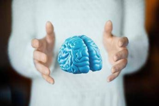 Imparare ad essere altruisti, così il cervello costruisce i comportamenti sociali Imparare ad essere altruisti, così il cervello costruisce i comportamenti sociali