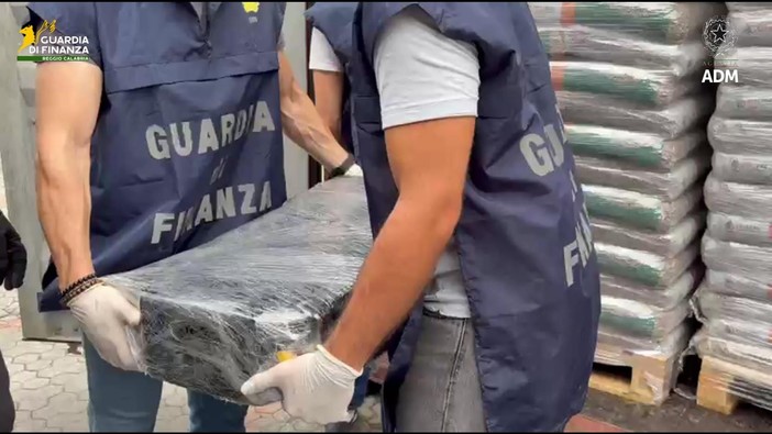 Sequestrati al porto di Gioia Tauro 113 kg di cocaina Sequestrati al porto di Gioia Tauro 113 kg di cocaina