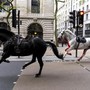 Cavalli in fuga a Londra, panico e feriti in centro