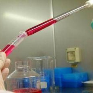 Per Natale da Cambielli 100mila euro a Fondazione Humanitas per la Ricerca Per Natale da Cambielli 100mila euro a Fondazione Humanitas per la Ricerca