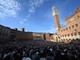Palio di Siena, il programma delle prove regolamentate Palio di Siena, il programma delle prove regolamentate