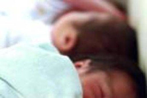 Neonati prematuri uccisi da batterio a Bolzano, cos'è il Serratia marcescens