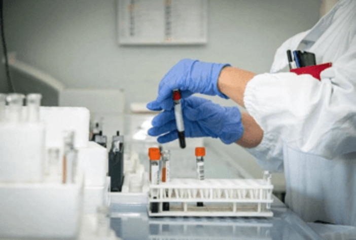 Hantavirus, 4 persone monitorate in Italia: "Non hanno sintomi"