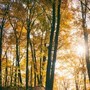 Il maltempo molla la presa, torna l'anticiclone e salgono le temperature: la tendenza dei prossimi giorni Il maltempo molla la presa, torna l'anticiclone e salgono le temperature: la tendenza dei prossimi giorni
