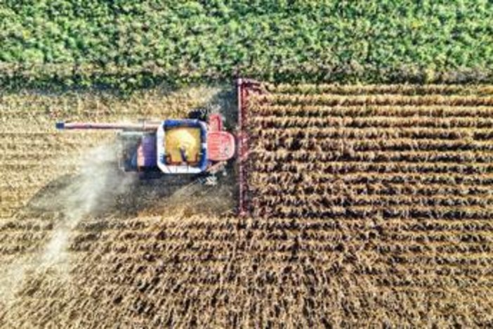 Hendron, Wild Bioscience: "Con nuove tecniche genomiche svolta storica per l’agricoltura europea" Hendron, Wild Bioscience: "Con nuove tecniche genomiche svolta storica per l’agricoltura europea"