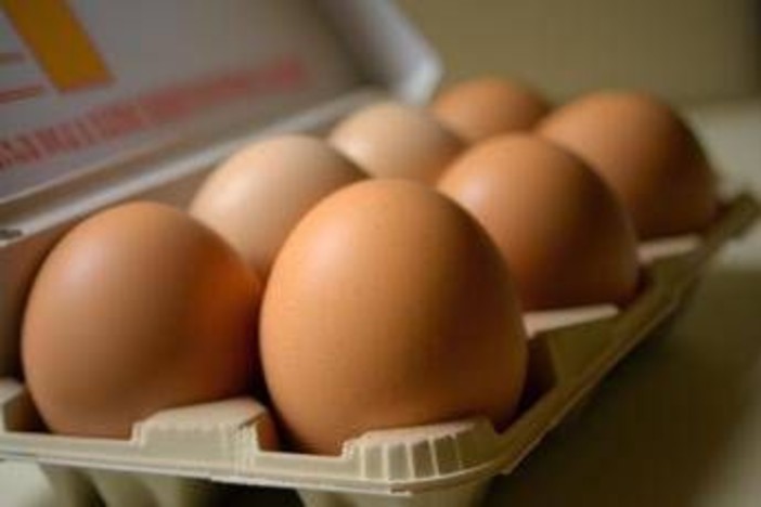 Le uova proteggono il cuore e allungano la vita, lo studio