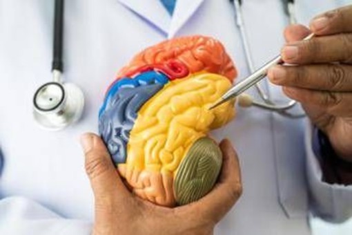 Malattie neuromuscolari e miastenia grave, nasce academyX per l'alta formazione