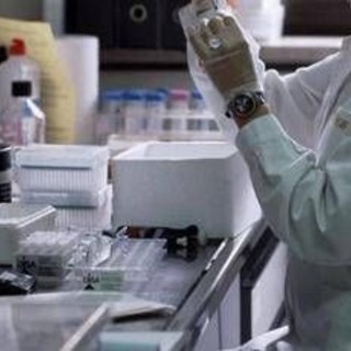 Leucemia linfatica cronica, l’arte dà voce all’esperienza dei pazienti Leucemia linfatica cronica, l’arte dà voce all’esperienza dei pazienti
