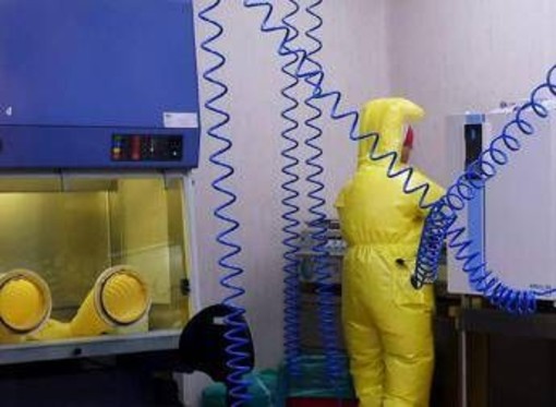 Shamonda virus, primo caso umano: cosa sappiamo, tutti i rischi Shamonda virus, primo caso umano: cosa sappiamo, tutti i rischi
