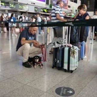 Etna, aeroporto di Catania chiuso: voli sospesi fino alle 12 di lunedì 28 settembre Etna, aeroporto di Catania chiuso: voli sospesi fino alle 12 di lunedì 28 settembre