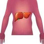 Malattie autoimmuni del fegato, nuova strategia con nanovettori in studio italiano