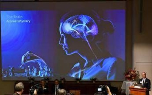 Un’alga e una luce blu: così è nata la scoperta che ha vinto il Nobel per la Medicina 2026