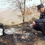 Incendi, Carabinieri Forestali: "98% causati dall'uomo, in primi 6 mesi 3800 ettari bruciati"