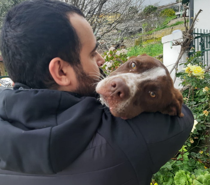 Enpa di Sanremo: il cucciolone Zeus cerca una nuova famiglia Enpa di Sanremo: il cucciolone Zeus cerca una nuova famiglia